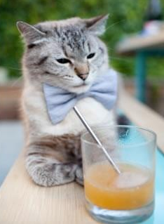 LEYU乐鱼体育官方网站-国际乒联混合团体世界杯：罗马尼亚队如何应对强大对手，罗马尼亚混双乒乓