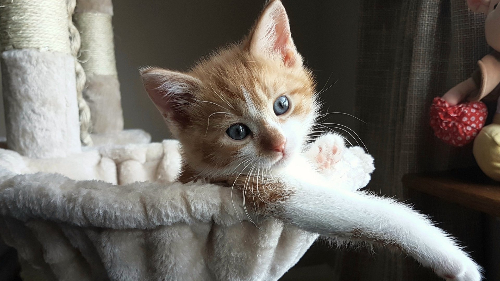 下载乐鱼体育APP-“胡利安·门德斯的全面球技，成就阿根廷美洲狮队的攻击力”