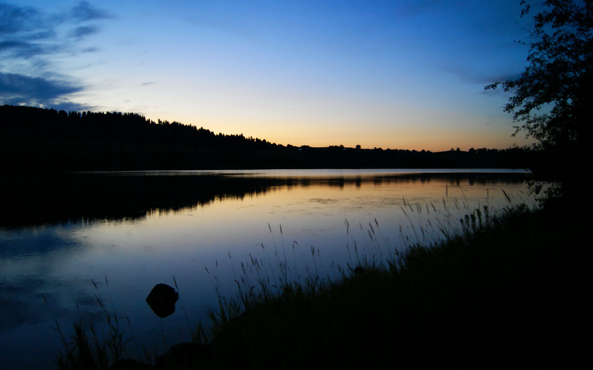 “胡利安·门德斯的全面球技，成就阿根廷美洲狮队的攻击力”