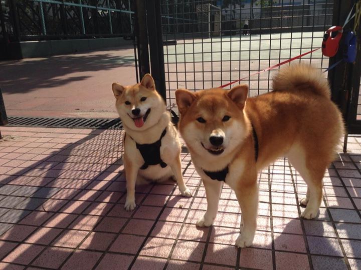 叶夫根尼娅·奇库诺娃赛后感谢团队支持，叶夫根尼约瑟夫维奇盖杜奇克