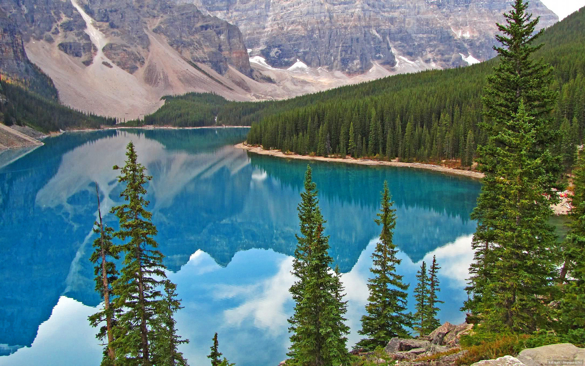 Leyu Sports (乐鱼体育)-新西兰全黑队球员灵活变换位置，进攻如同精密机器，新西兰的球队