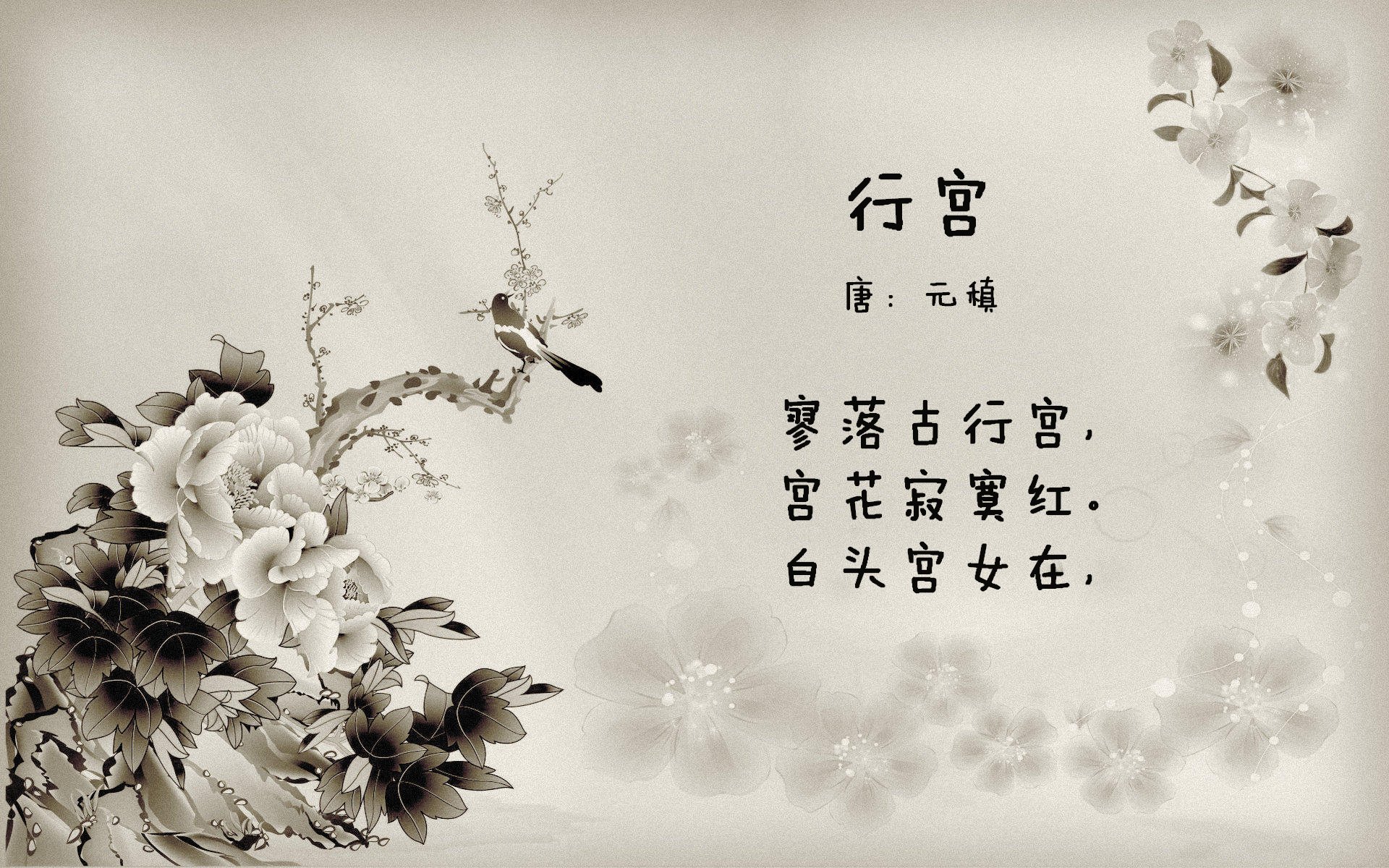 法甲新锐崭露头角:未来之星绽放光芒!,世界足坛未来之星