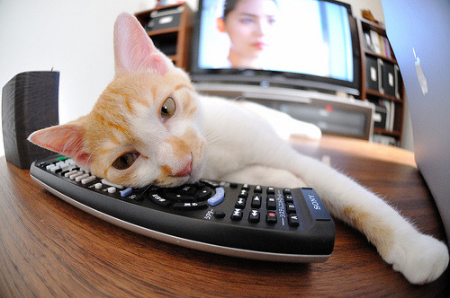 津巴布韦男篮在非洲锦标赛中奋勇追赶，未来可期