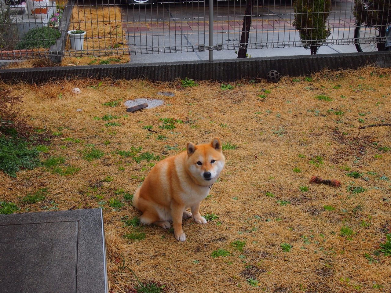 英超冠军争夺：场场精彩，悬念重重！，0203英超冠军