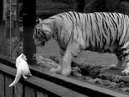 英超叹为观止:奇迹般的配合瞬间,zaker 英超