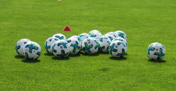 APP下载 LY Sports-3-1大捷，勒沃库森9人拼尽全力赢得德甲首胜，勒沃库森主帅