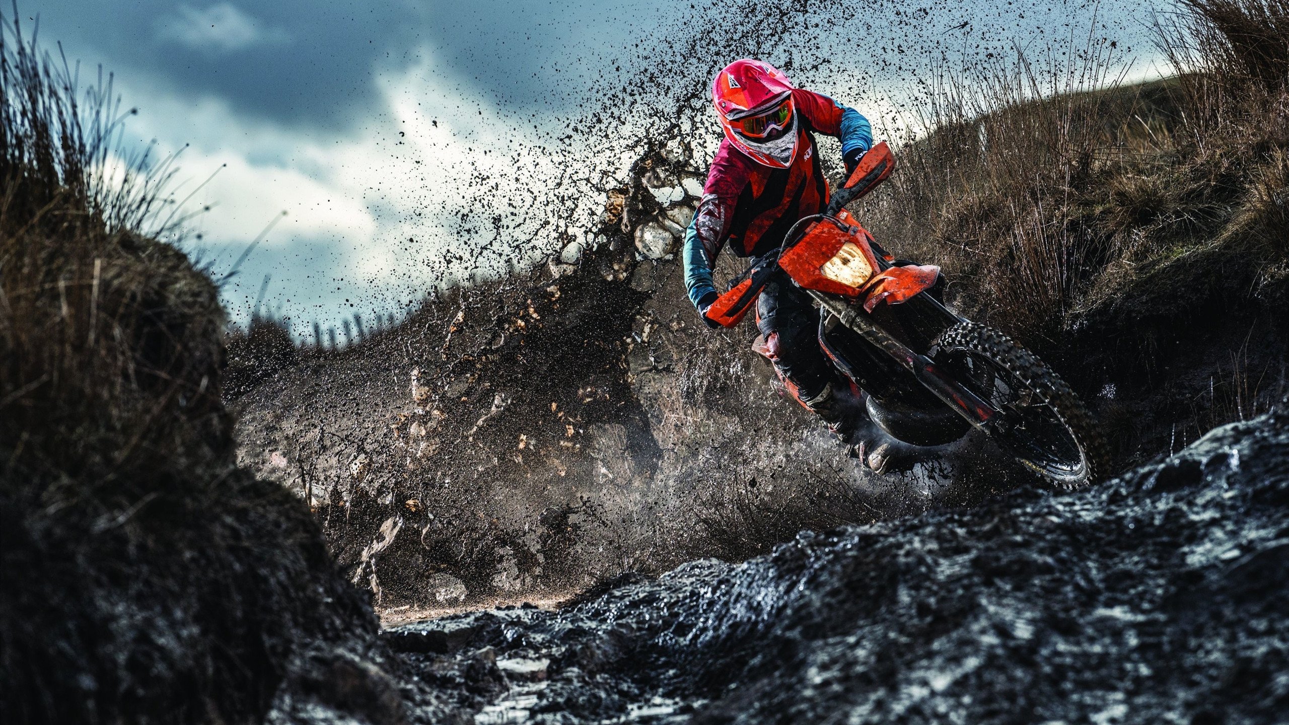 乐鱼体育-《Apex Legends》上线新合作皮肤，联动内容丰富，apex联名皮肤